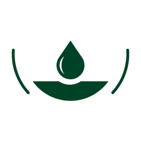 Logo Philosophy Icon